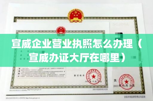 宣威企业营业执照怎么办理（宣威办证大厅在哪里）