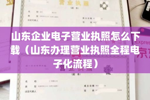 山东企业电子营业执照怎么下载（山东办理营业执照全程电子化流程）