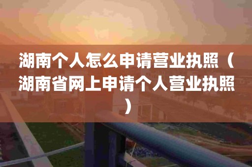 湖南个人怎么申请营业执照（湖南省网上申请个人营业执照）