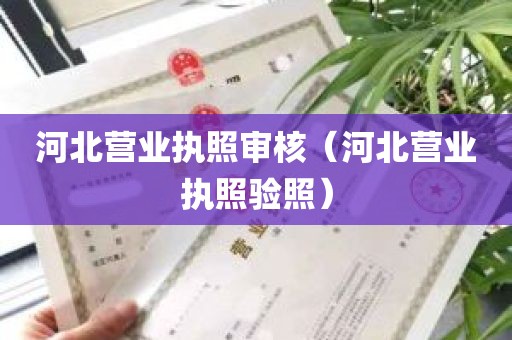 河北营业执照审核（河北营业执照验照）