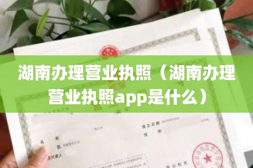 湖南办理营业执照（湖南办理营业执照app是什么）