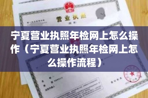 宁夏营业执照年检网上怎么操作（宁夏营业执照年检网上怎么操作流程）