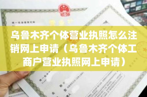 乌鲁木齐个体营业执照怎么注销网上申请（乌鲁木齐个体工商户营业执照网上申请）