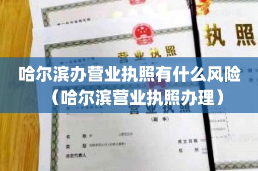 哈尔滨办营业执照有什么风险（哈尔滨营业执照办理）