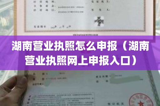 湖南营业执照怎么申报（湖南营业执照网上申报入口）