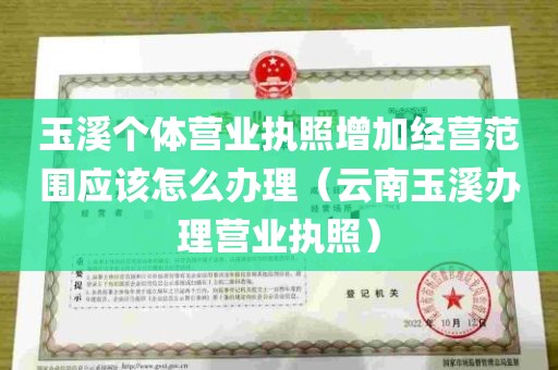 玉溪个体营业执照增加经营范围应该怎么办理（云南玉溪办理营业执照）