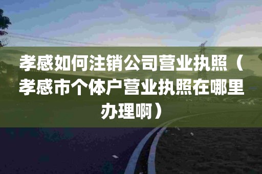 孝感如何注销公司营业执照（孝感市个体户营业执照在哪里办理啊）