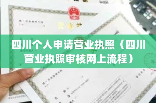 四川个人申请营业执照（四川营业执照审核网上流程）