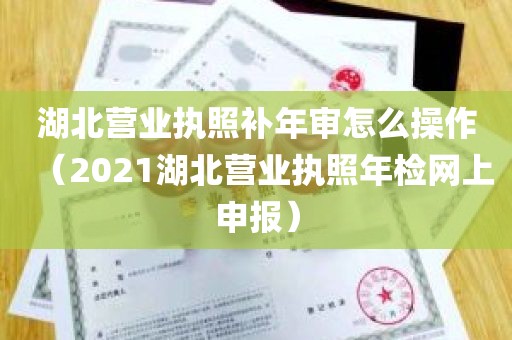 湖北营业执照补年审怎么操作（2021湖北营业执照年检网上申报）