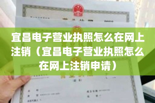 宜昌电子营业执照怎么在网上注销（宜昌电子营业执照怎么在网上注销申请）