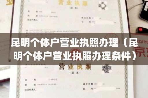 昆明个体户营业执照办理（昆明个体户营业执照办理条件）