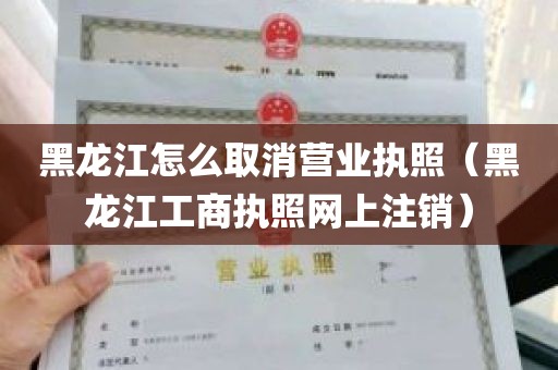 黑龙江怎么取消营业执照（黑龙江工商执照网上注销）