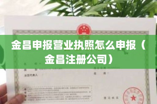 金昌申报营业执照怎么申报（金昌注册公司）