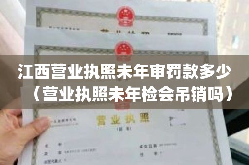 江西营业执照未年审罚款多少（营业执照未年检会吊销吗）