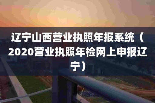 辽宁山西营业执照年报系统（2020营业执照年检网上申报辽宁）