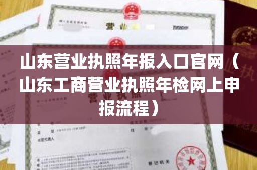 山东营业执照年报入口官网（山东工商营业执照年检网上申报流程）