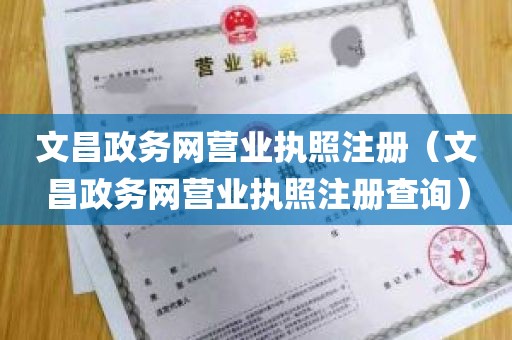 文昌政务网营业执照注册（文昌政务网营业执照注册查询）