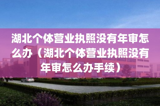 湖北个体营业执照没有年审怎么办（湖北个体营业执照没有年审怎么办手续）