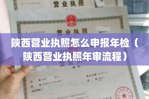 陕西营业执照怎么申报年检（陕西营业执照年审流程）