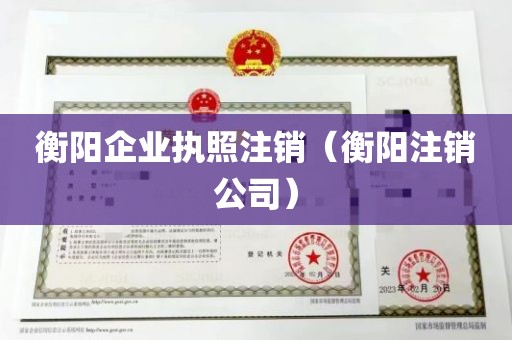 衡阳企业执照注销（衡阳注销公司）