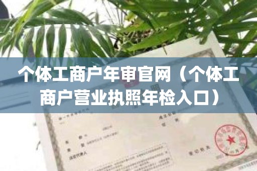 个体工商户年审官网（个体工商户营业执照年检入口）