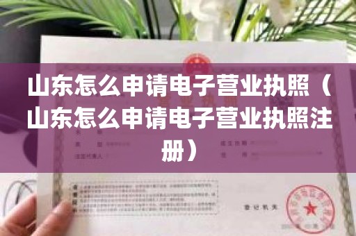 山东怎么申请电子营业执照（山东怎么申请电子营业执照注册）