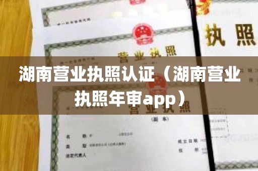 湖南营业执照认证（湖南营业执照年审app）