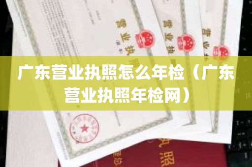 广东营业执照怎么年检（广东营业执照年检网）