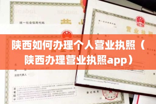 陕西如何办理个人营业执照（陕西办理营业执照app）