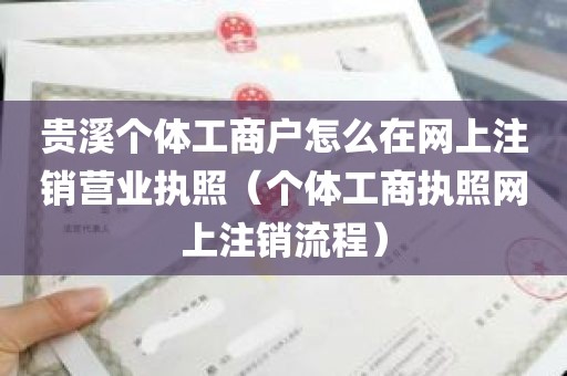 贵溪个体工商户怎么在网上注销营业执照（个体工商执照网上注销流程）