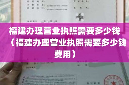 福建办理营业执照需要多少钱（福建办理营业执照需要多少钱费用）