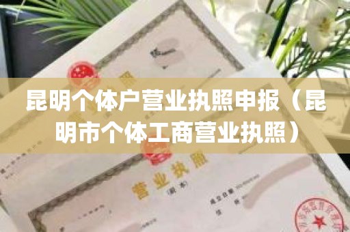 昆明个体户营业执照申报（昆明市个体工商营业执照）