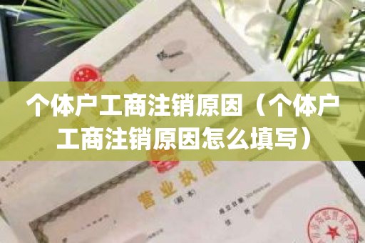 个体户工商注销原因（个体户工商注销原因怎么填写）