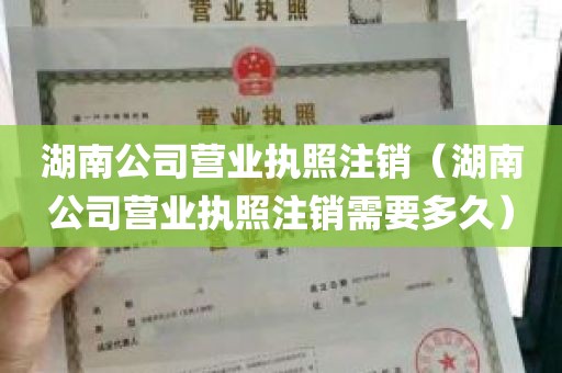 湖南公司营业执照注销（湖南公司营业执照注销需要多久）