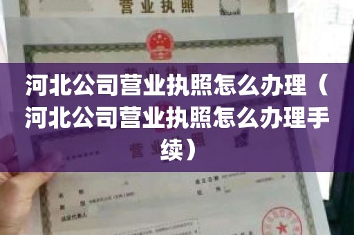 河北公司营业执照怎么办理（河北公司营业执照怎么办理手续）