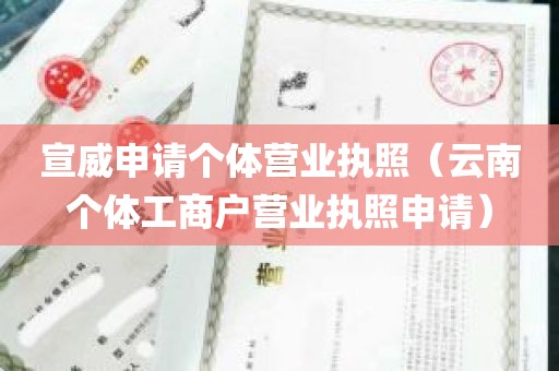 宣威申请个体营业执照（云南个体工商户营业执照申请）