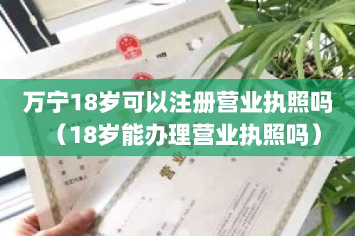 万宁18岁可以注册营业执照吗（18岁能办理营业执照吗）