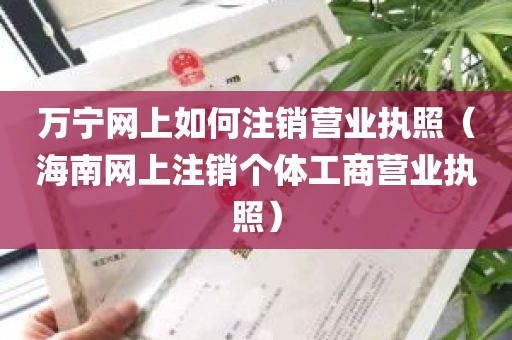 万宁网上如何注销营业执照（海南网上注销个体工商营业执照）