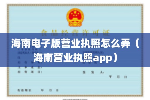 海南电子版营业执照怎么弄（海南营业执照app）