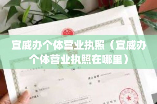 宣威办个体营业执照（宣威办个体营业执照在哪里）