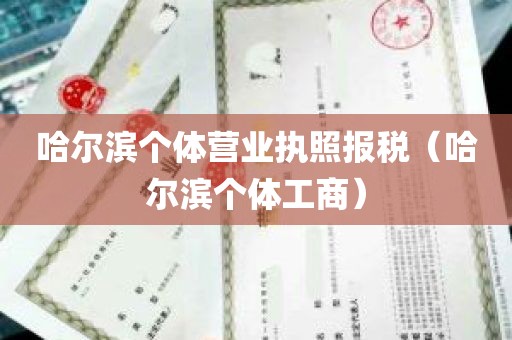 哈尔滨个体营业执照报税（哈尔滨个体工商）