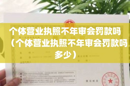 个体营业执照不年审会罚款吗（个体营业执照不年审会罚款吗多少）