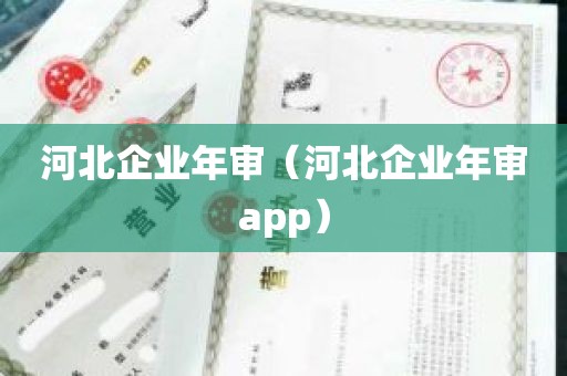 河北企业年审（河北企业年审app）