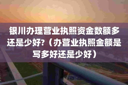 银川办理营业执照资金数额多还是少好?（办营业执照金额是写多好还是少好）