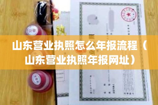 山东营业执照怎么年报流程（山东营业执照年报网址）