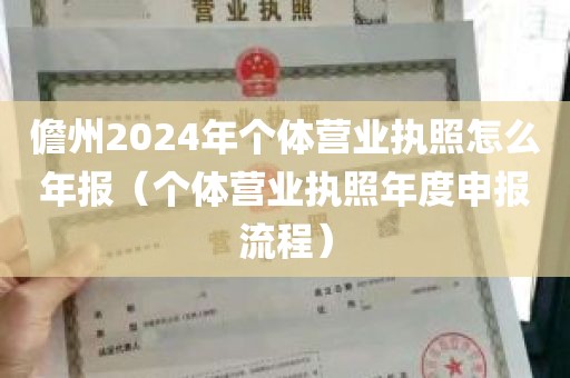 儋州2024年个体营业执照怎么年报（个体营业执照年度申报流程）