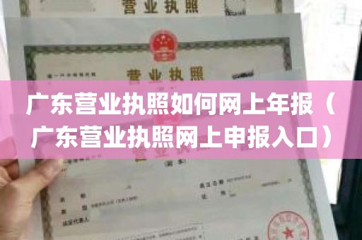 广东营业执照如何网上年报（广东营业执照网上申报入口）