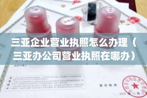 三亚企业营业执照怎么办理（三亚办公司营业执照在哪办）