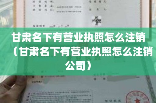 甘肃名下有营业执照怎么注销（甘肃名下有营业执照怎么注销公司）