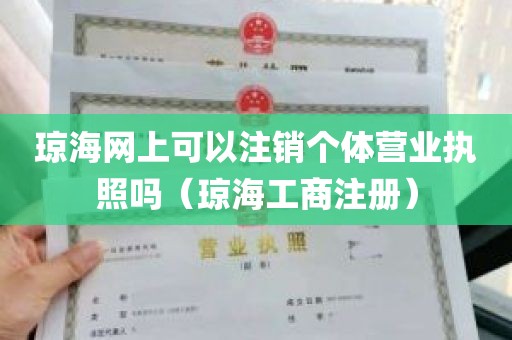 琼海网上可以注销个体营业执照吗（琼海工商注册）